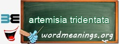 WordMeaning blackboard for artemisia tridentata